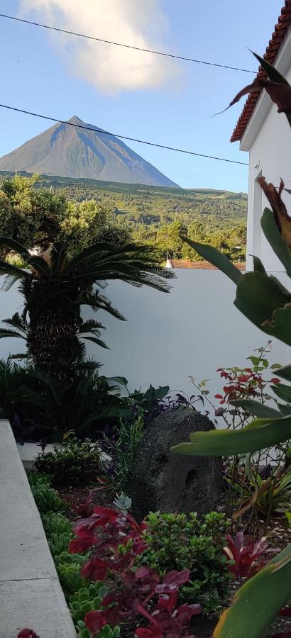 Villa Casa Da Avo Biza São Roque do Pico Exterior foto